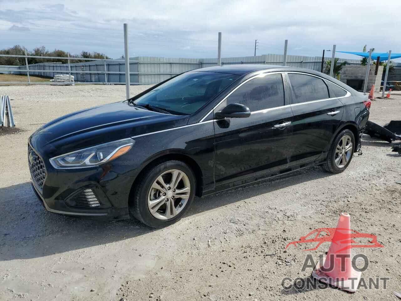 HYUNDAI SONATA 2019 - 5NPE34AF4KH767623
