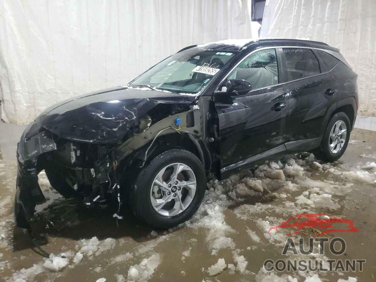 HYUNDAI TUCSON 2024 - 5NMJBCDE1RH300164