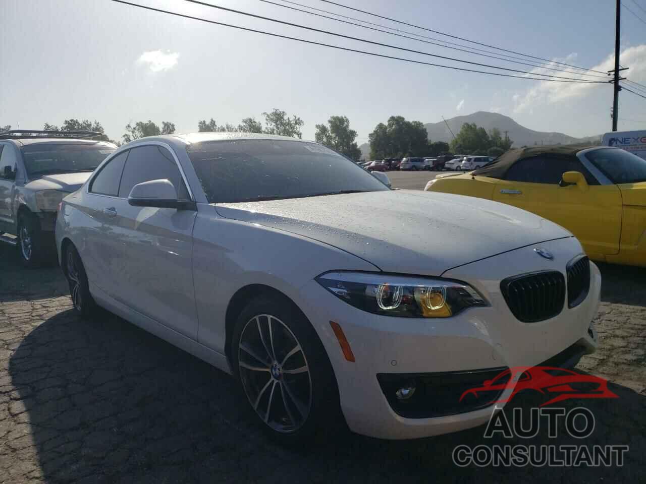 BMW 2 SERIES 2019 - WBA2J1C59KVD09961