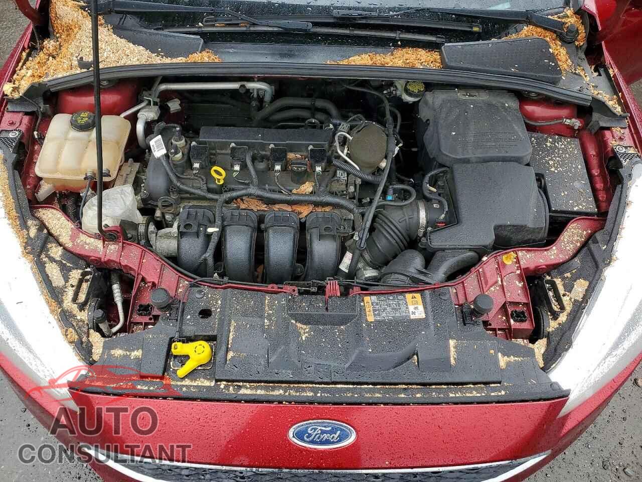 FORD FOCUS 2016 - 1FADP3F23GL218987