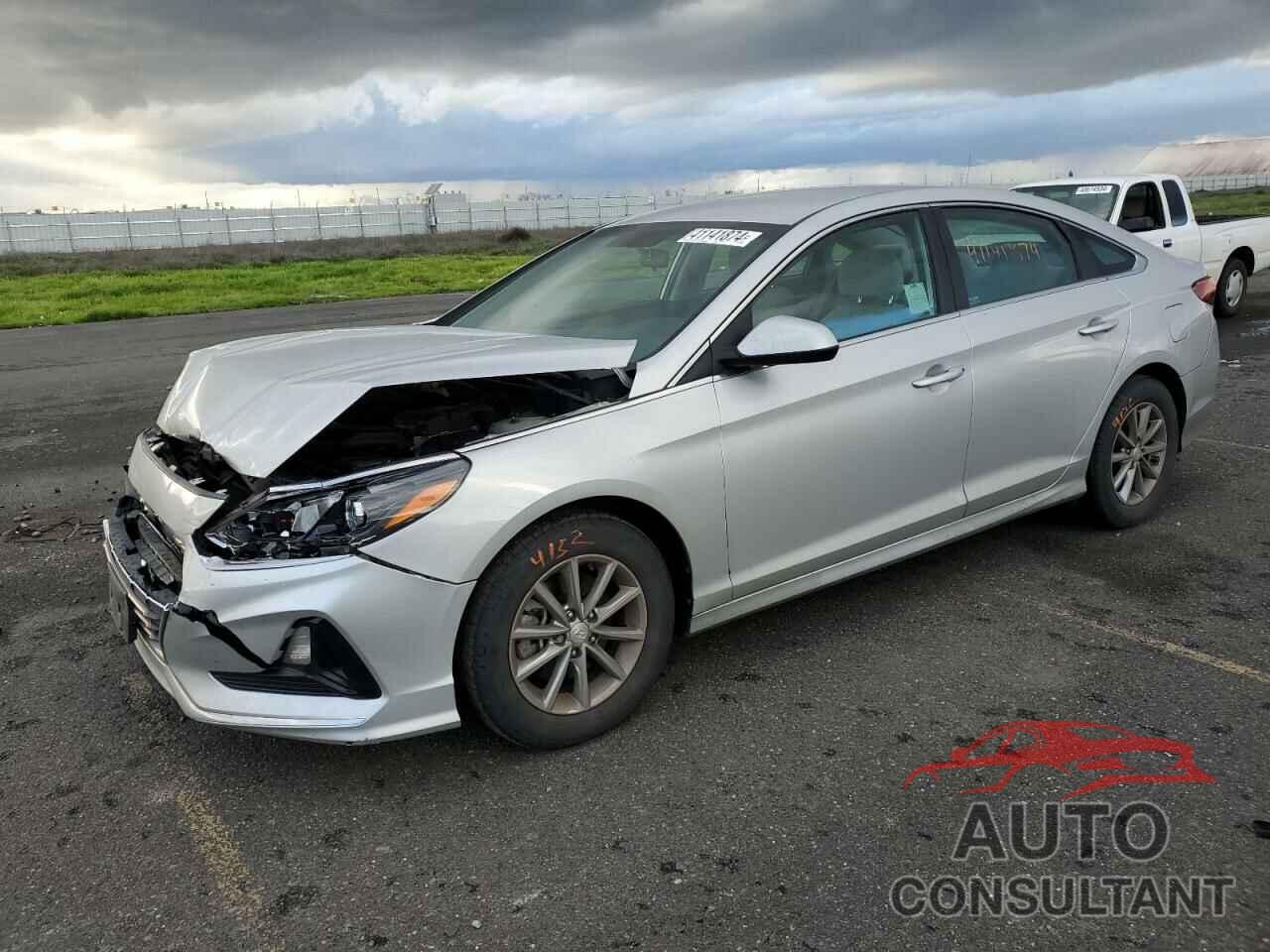 HYUNDAI SONATA 2019 - 5NPE24AF1KH779621