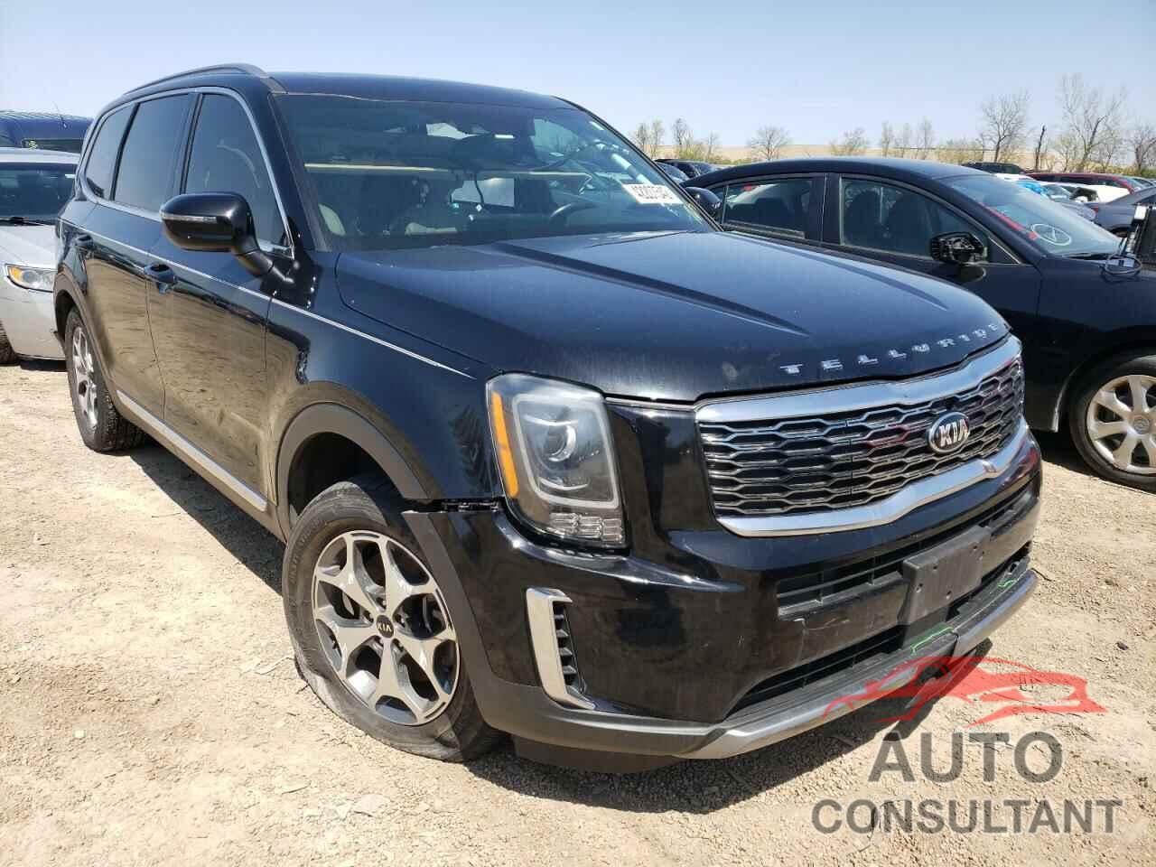 KIA TELLURIDE 2020 - 5XYP34HC9LG029099