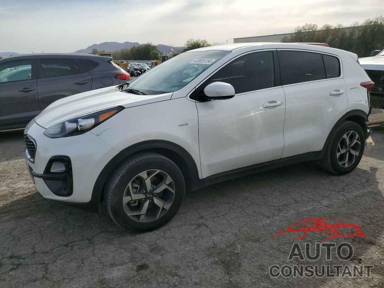 KIA SPORTAGE 2022 - KNDPMCAC1N7001959