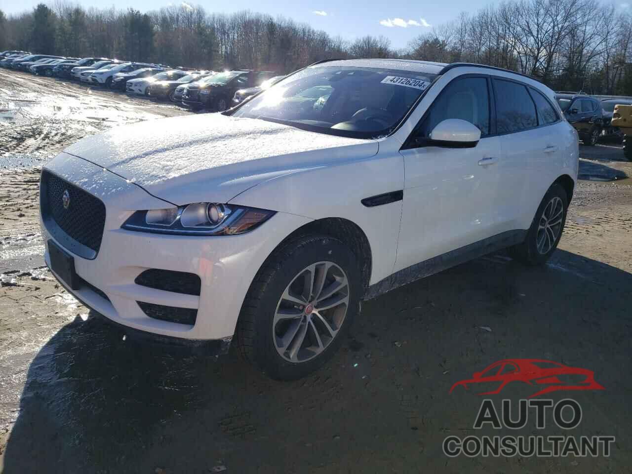 JAGUAR F-PACE 2017 - SADCJ2BV8HA098817