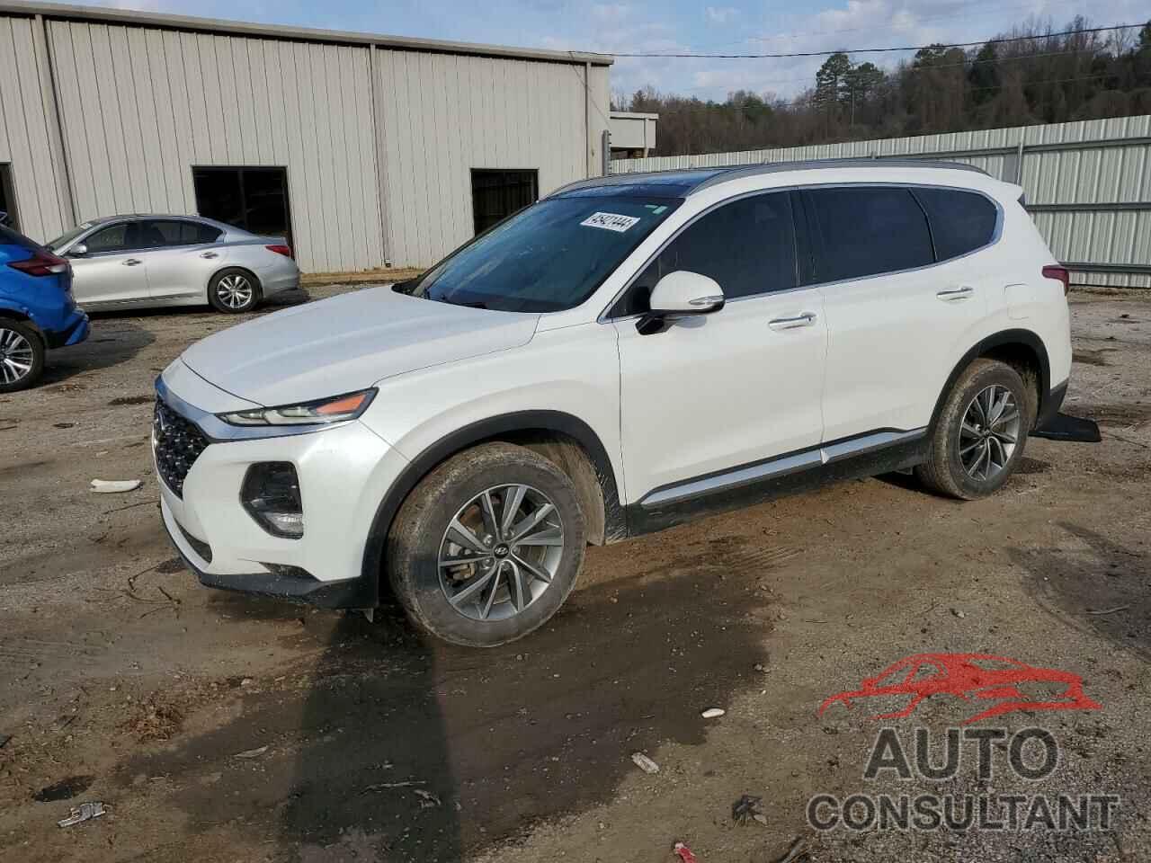 HYUNDAI SANTA FE 2019 - 5NMS53AD3KH027404