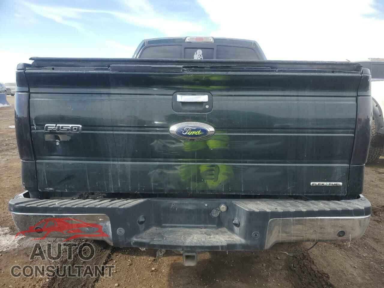 FORD F-150 2013 - 1FTFX1EF8DKD60362