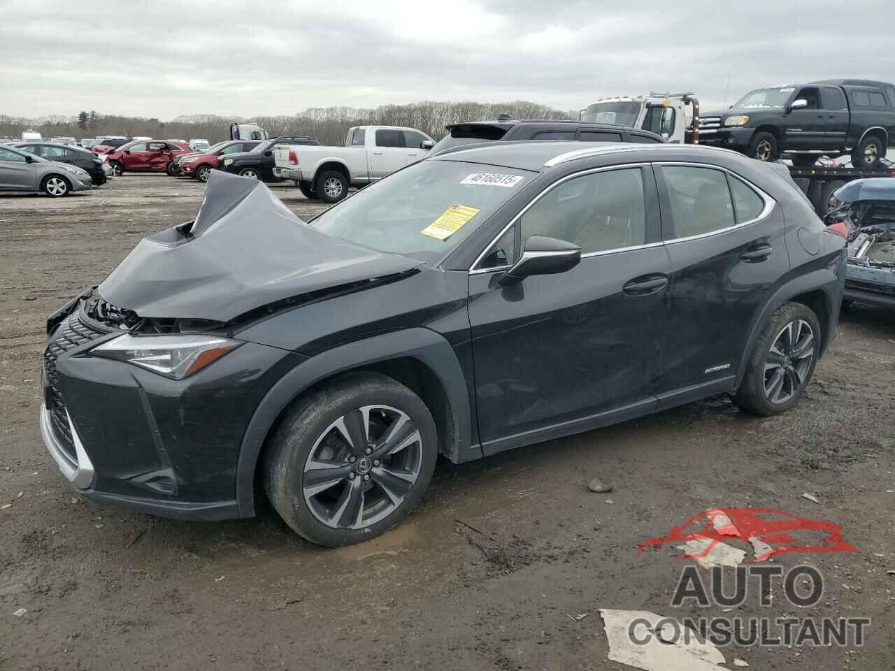 LEXUS UX 250H 2020 - JTHX9JBH8L2034207