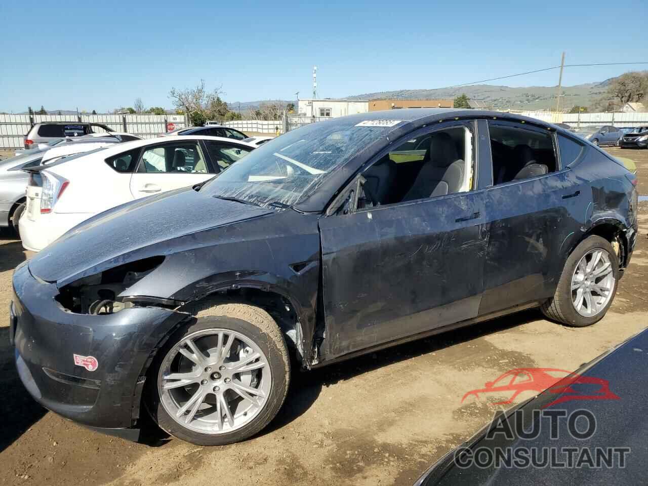 TESLA MODEL Y 2024 - 7SAYGDEEXRF032028