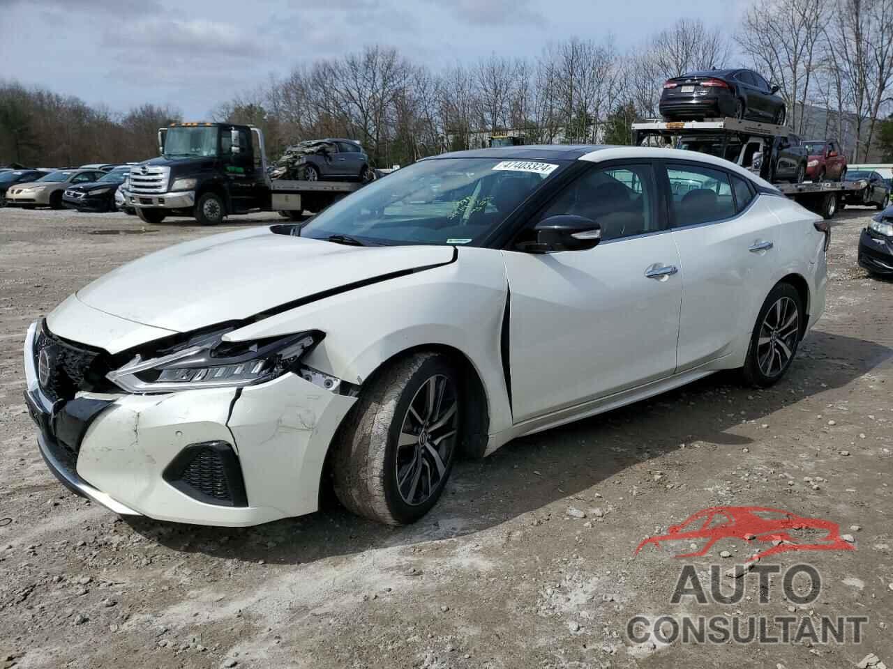 NISSAN MAXIMA 2019 - 1N4AA6AVXKC382611