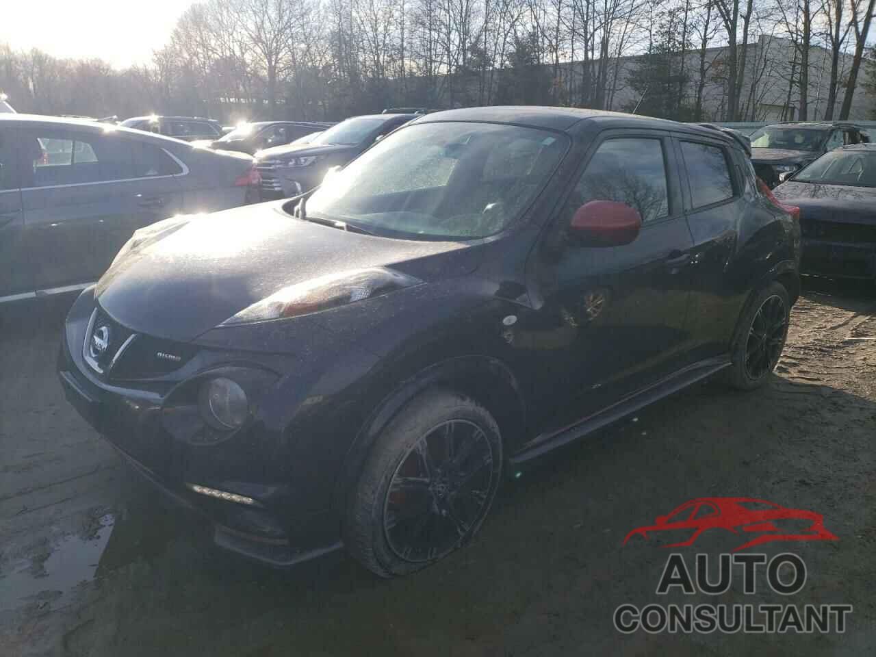 NISSAN JUKE 2014 - JN8AF5MV5ET366195