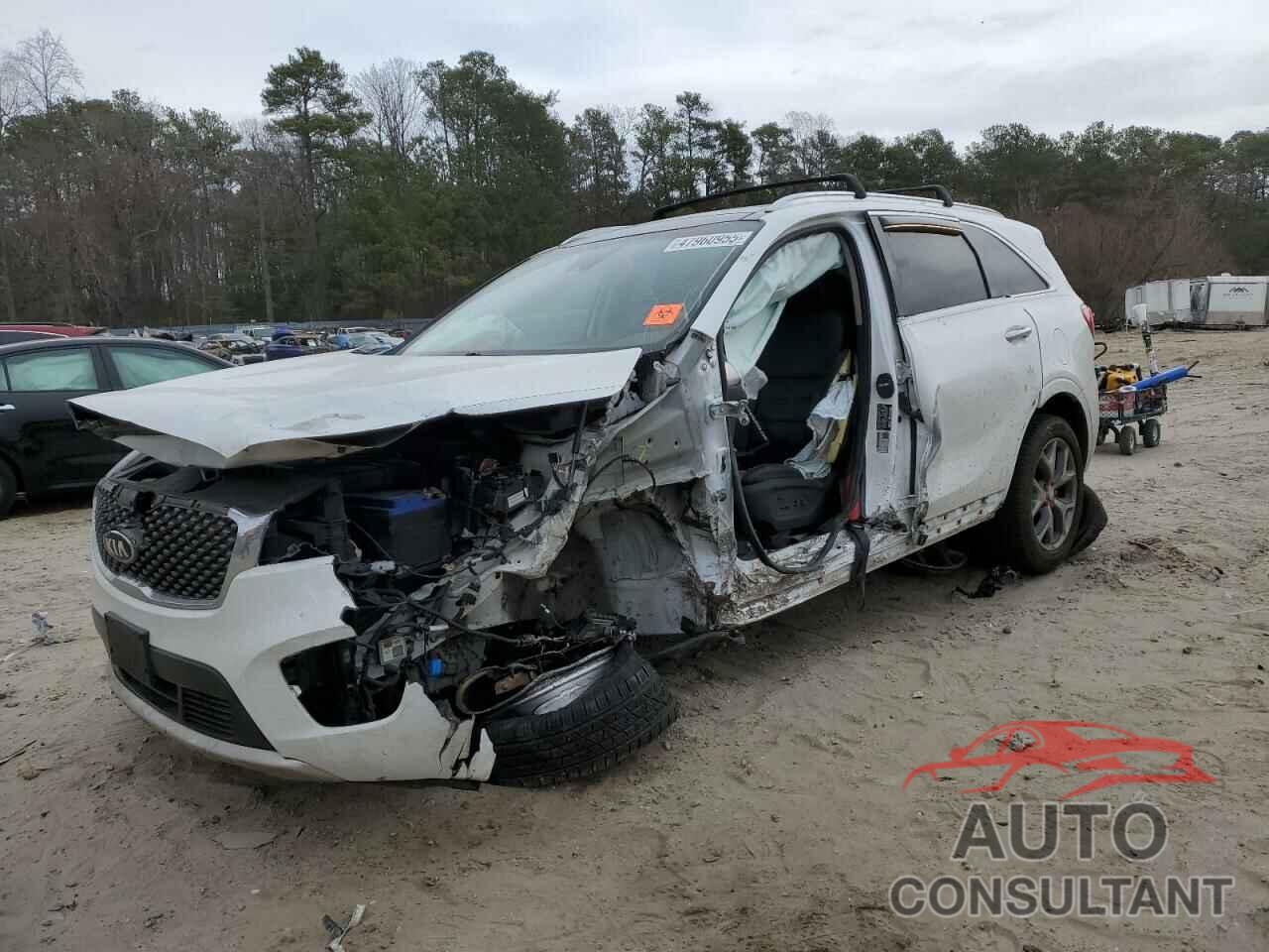 KIA SORENTO 2017 - 5XYPKDA51HG232039