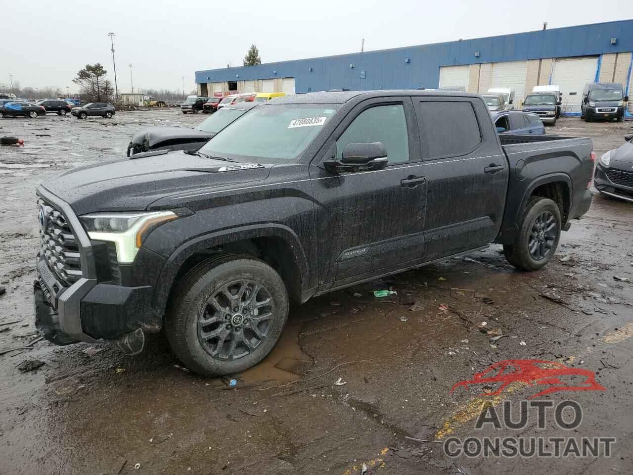 TOYOTA TUNDRA 2024 - 5TFNC5DB3RX074359