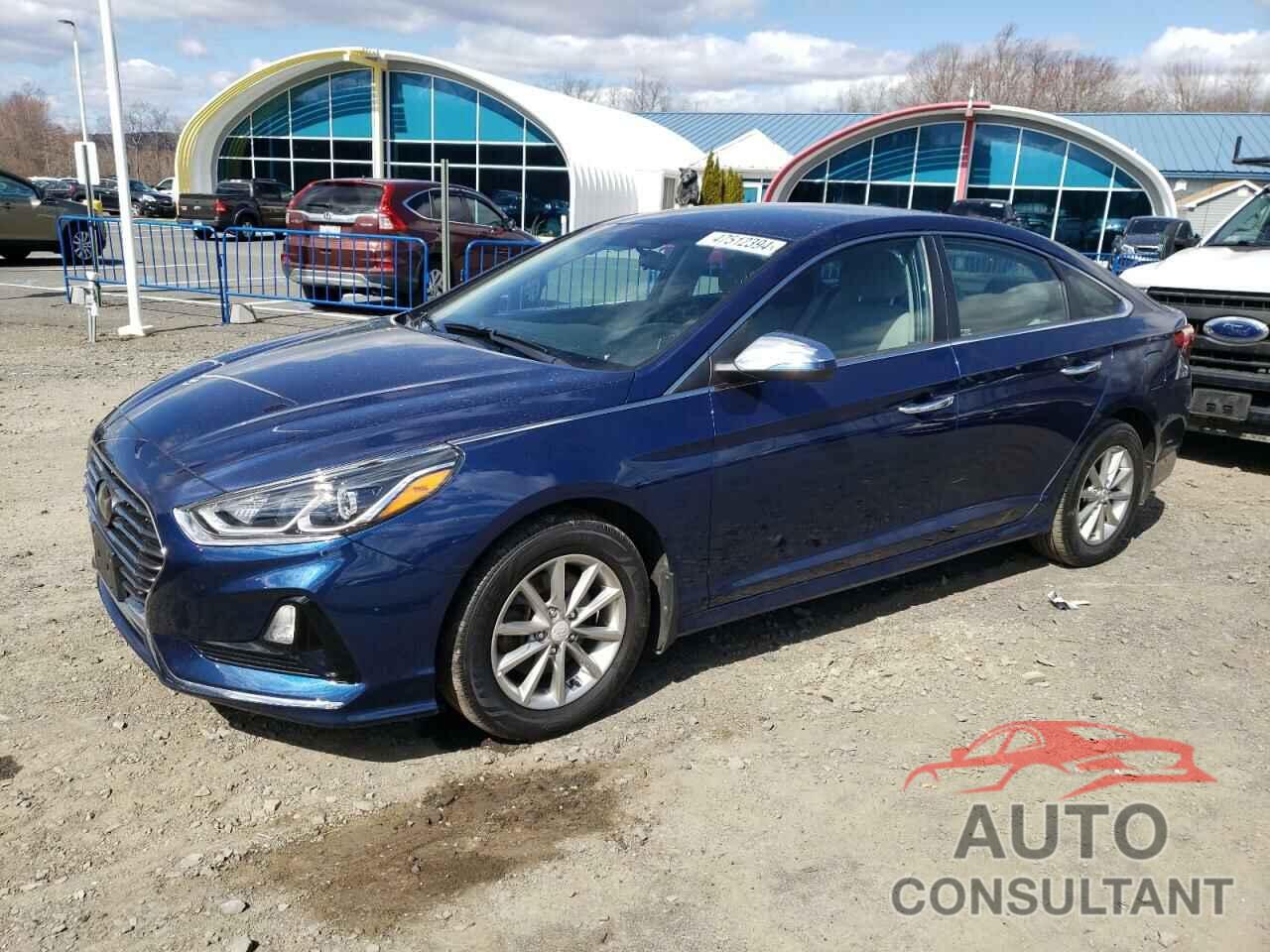 HYUNDAI SONATA 2019 - 5NPE24AF1KH804484