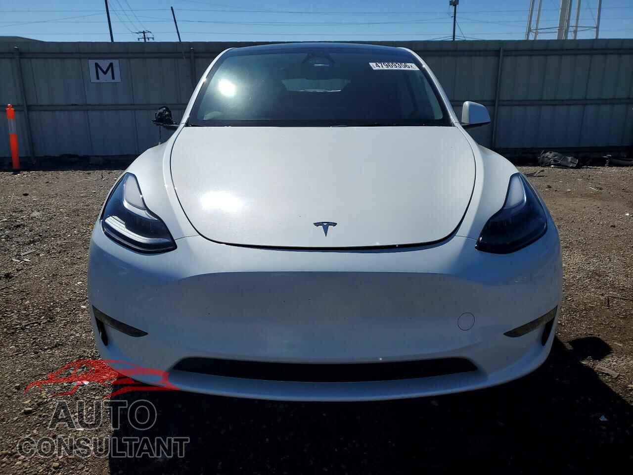 TESLA MODEL Y 2024 - 7SAYGDEE6RF209254