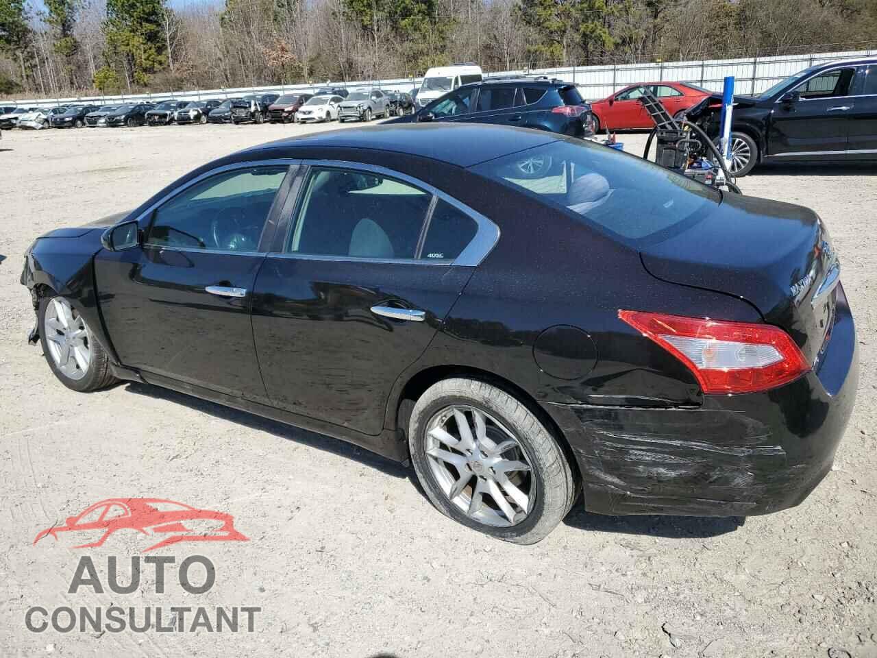 NISSAN MAXIMA 2010 - 1N4AA5AP1AC841230