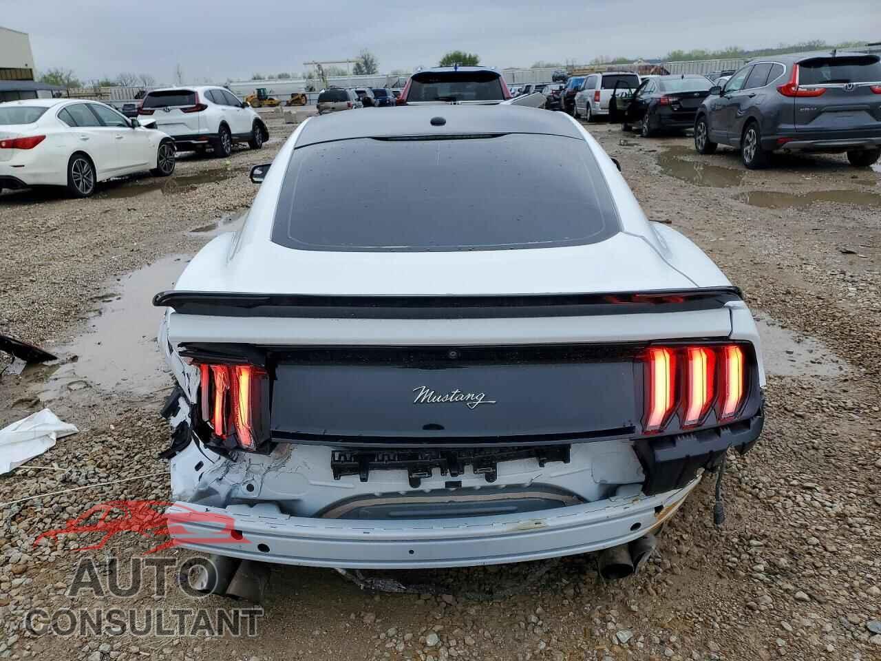 FORD MUSTANG 2019 - 1FA6P8CF1K5134869