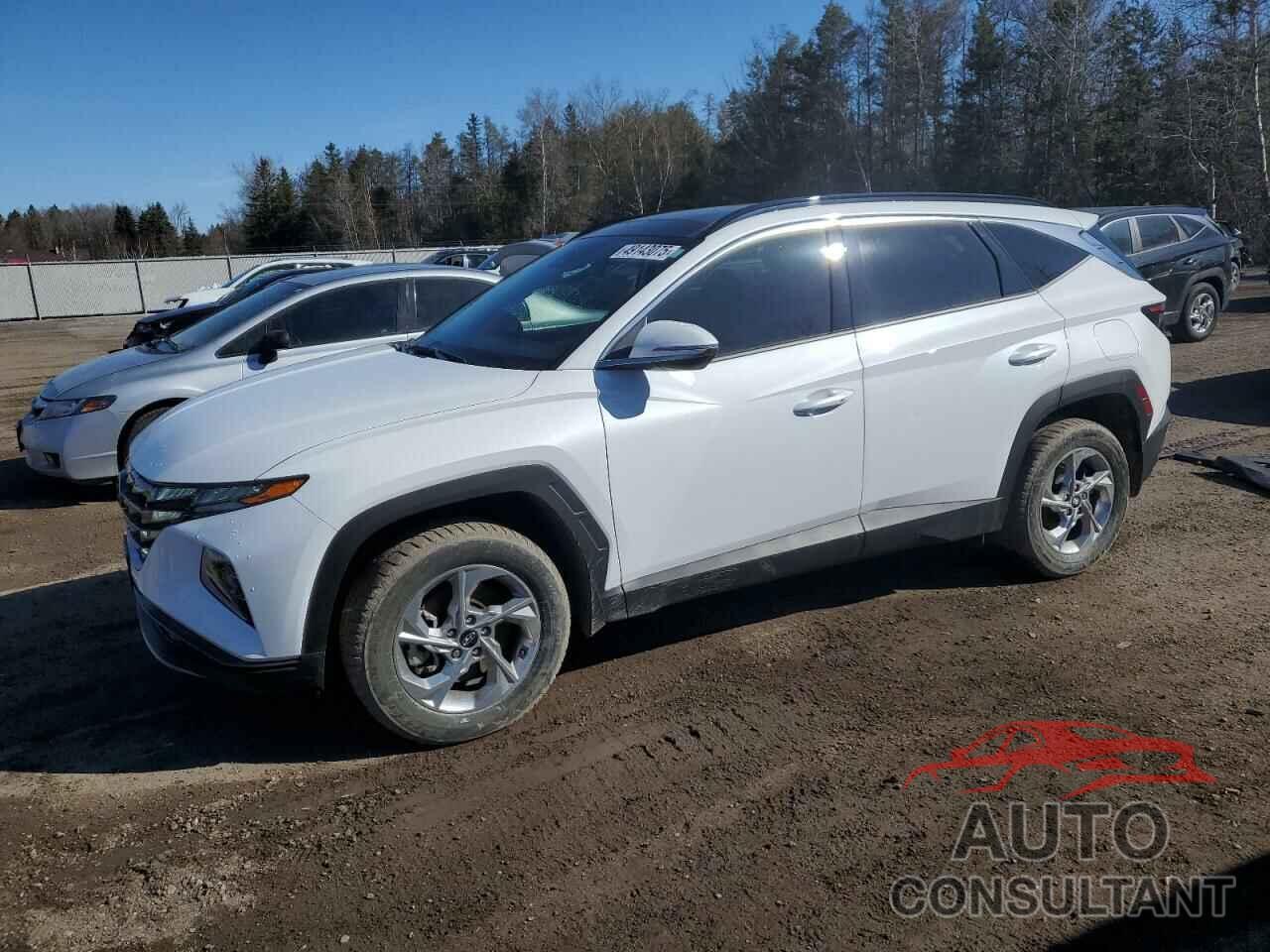 HYUNDAI TUCSON 2024 - KM8JCCDE1RU267913