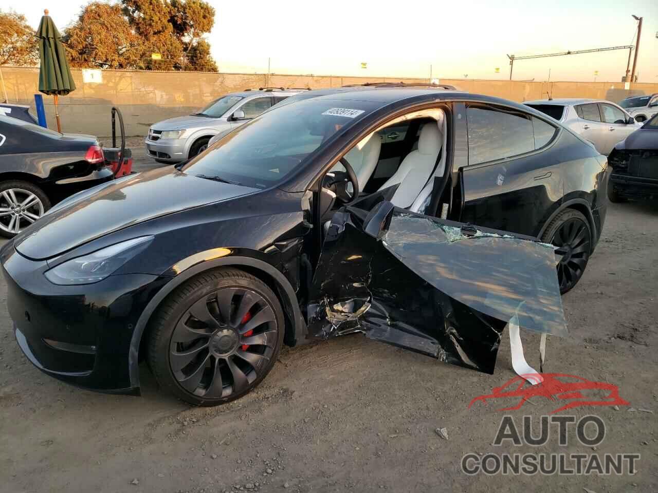 TESLA MODEL Y 2022 - 7SAYGDEF6NF408694