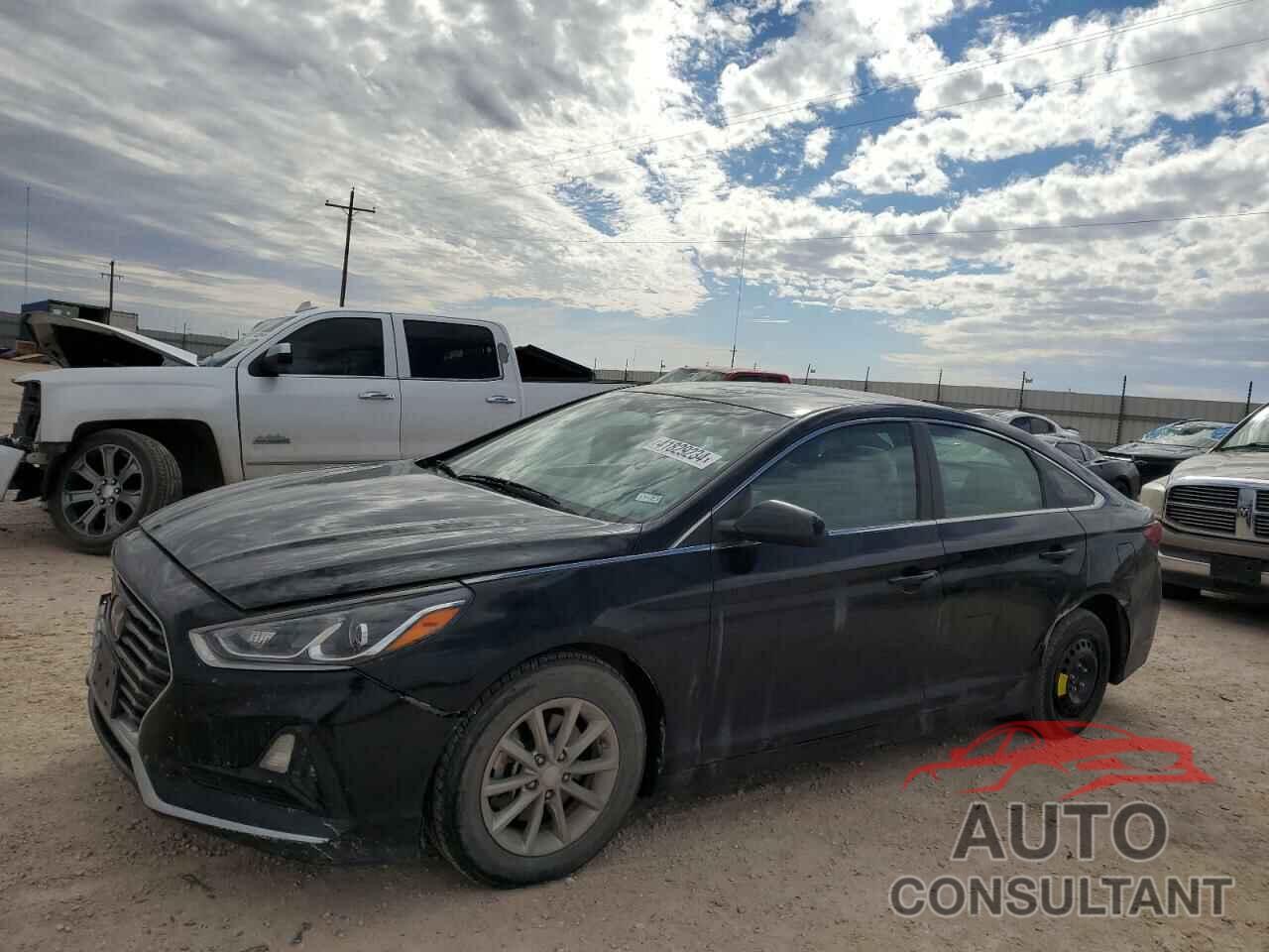 HYUNDAI SONATA 2019 - 5NPE24AF4KH749139
