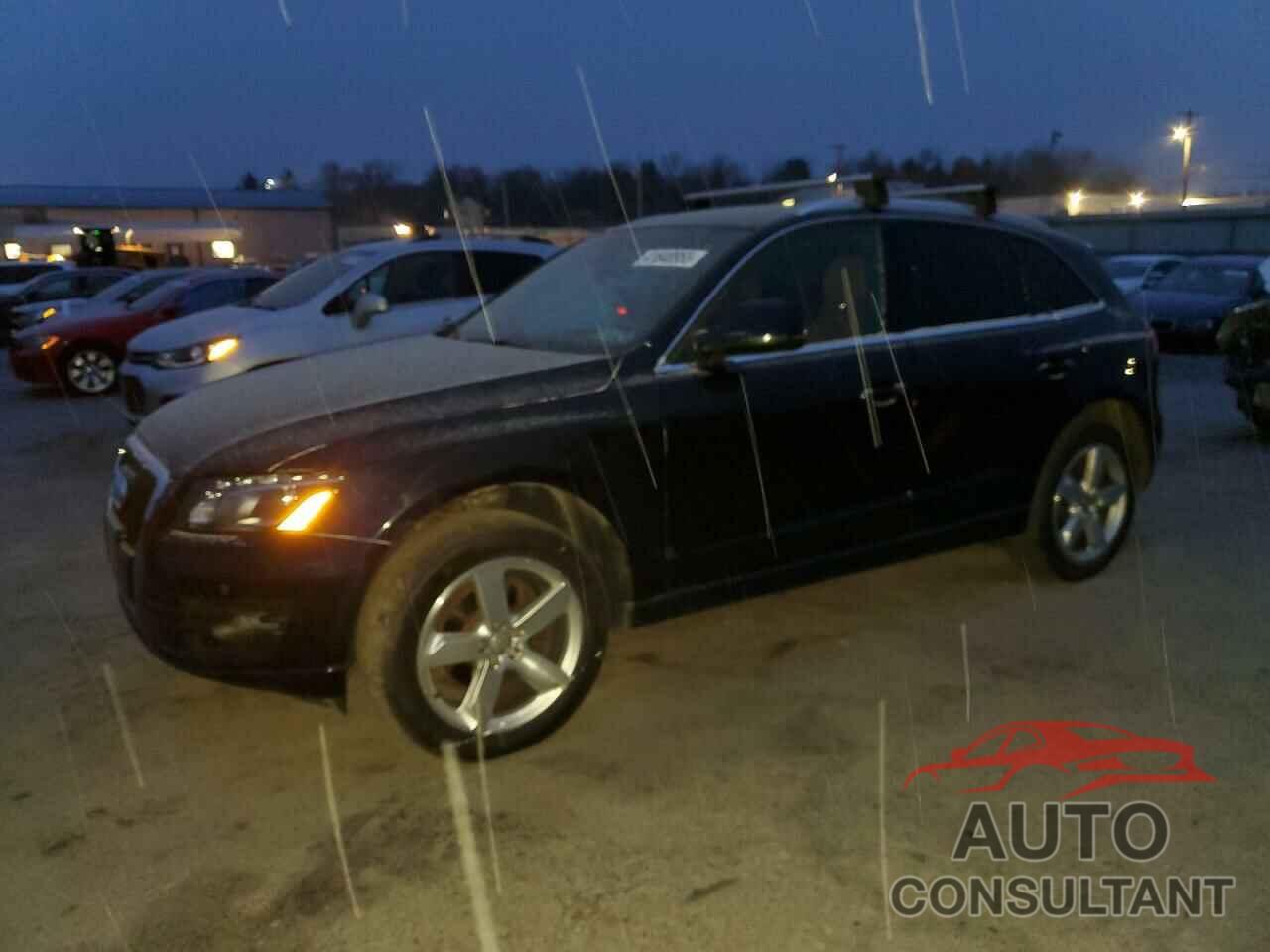 AUDI Q5 2010 - WA1LKBFP1AA036082