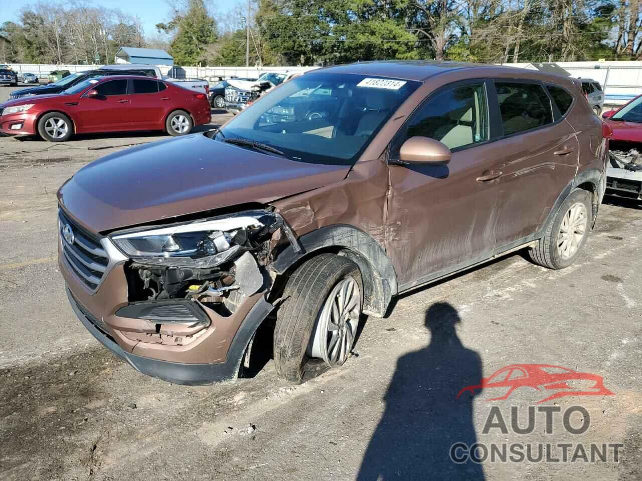 HYUNDAI TUCSON 2017 - KM8J23A41HU576472