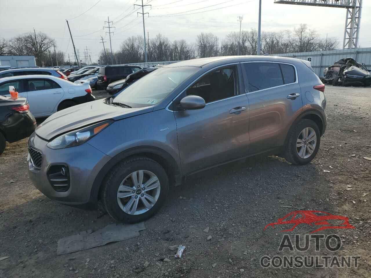 KIA SPORTAGE 2017 - KNDPMCAC8H7186774