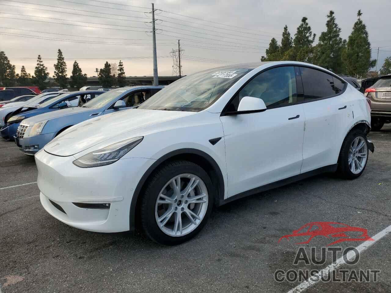 TESLA MODEL Y 2022 - 7SAYGDEE2NF459827