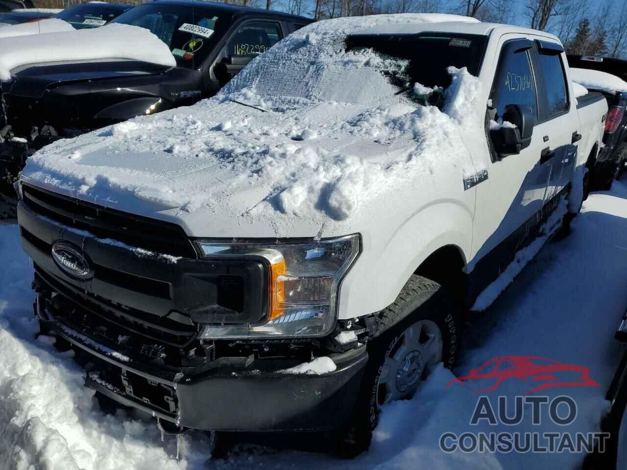 FORD F-150 2019 - 1FTFW1E57KKE16489
