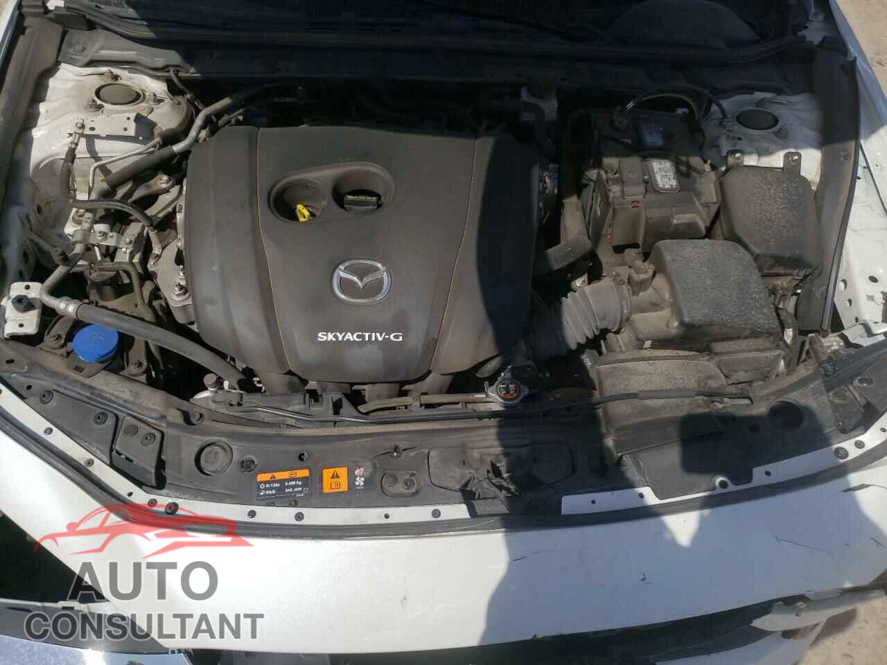 MAZDA 3 2019 - JM1BPBAM8K1136441
