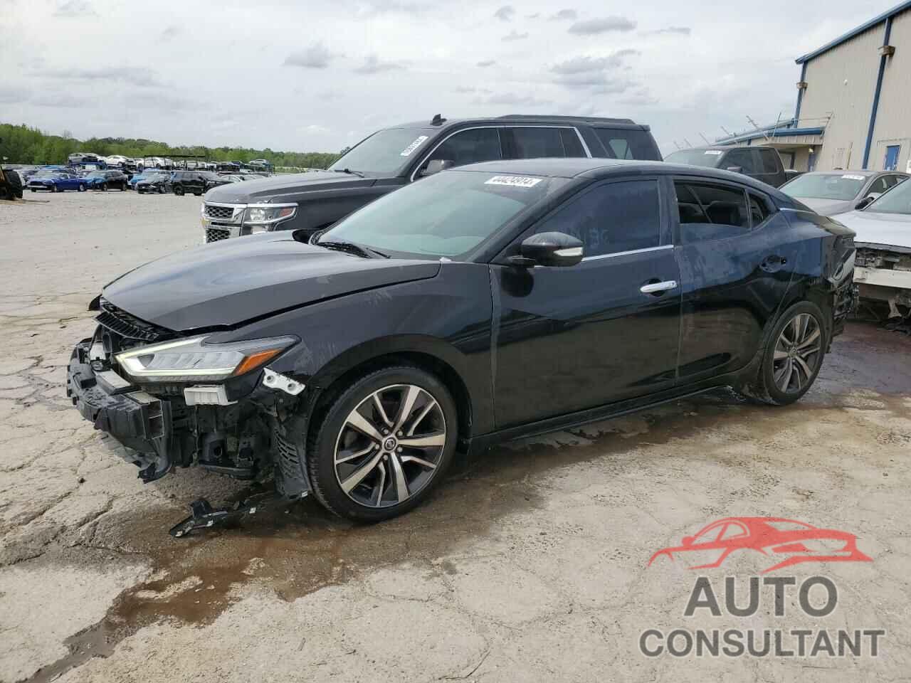 NISSAN MAXIMA 2019 - 1N4AA6AV7KC366219