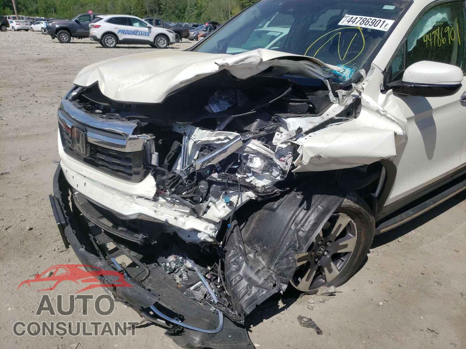 HONDA RIDGELINE 2019 - 5FPYK3F7XKB013868