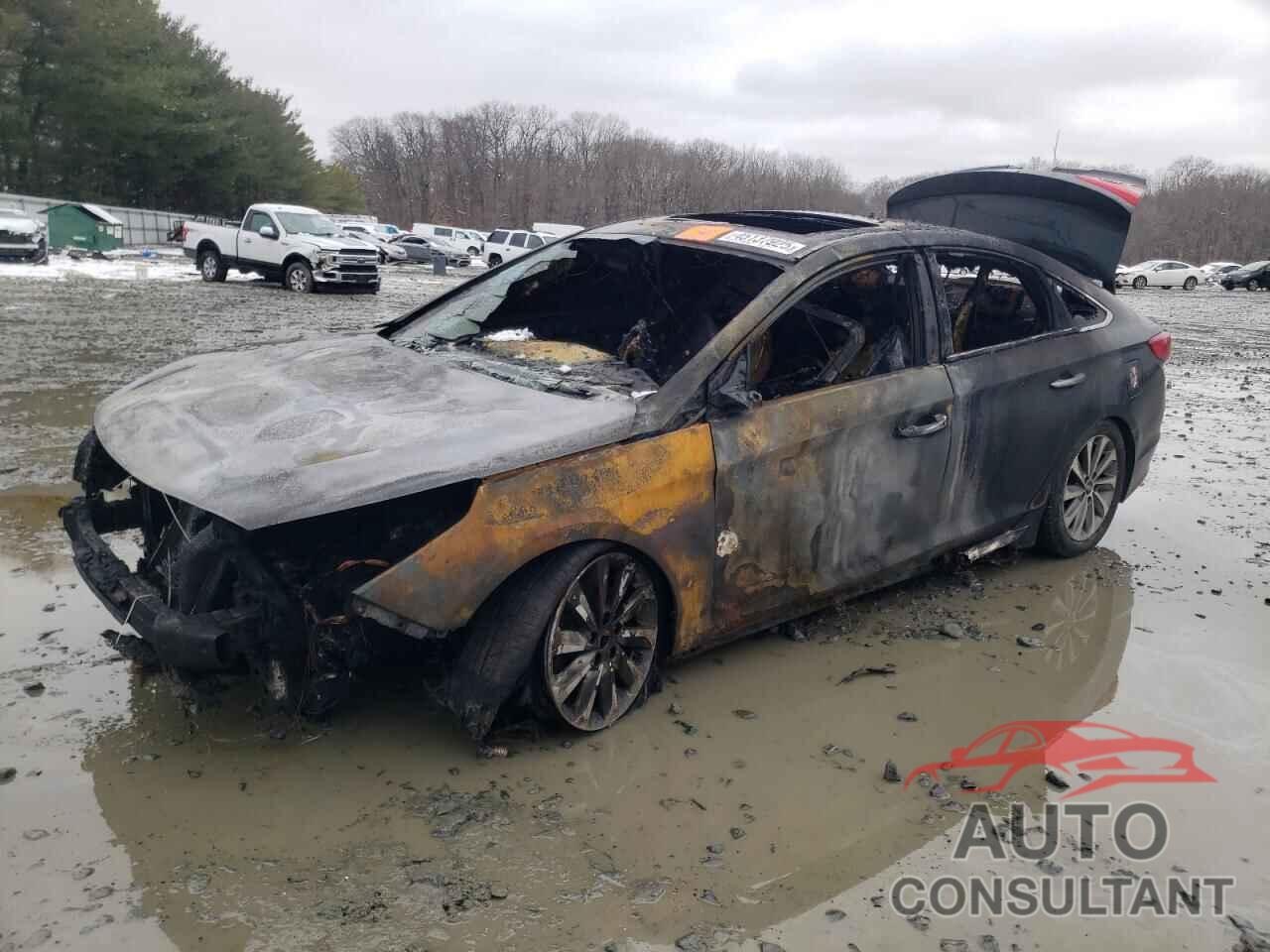 HYUNDAI SONATA 2017 - 5NPE34AF7HH452470