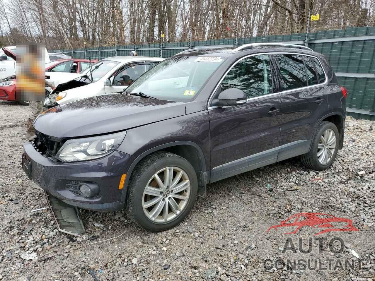 VOLKSWAGEN TIGUAN 2016 - WVGBV7AX0GW608831