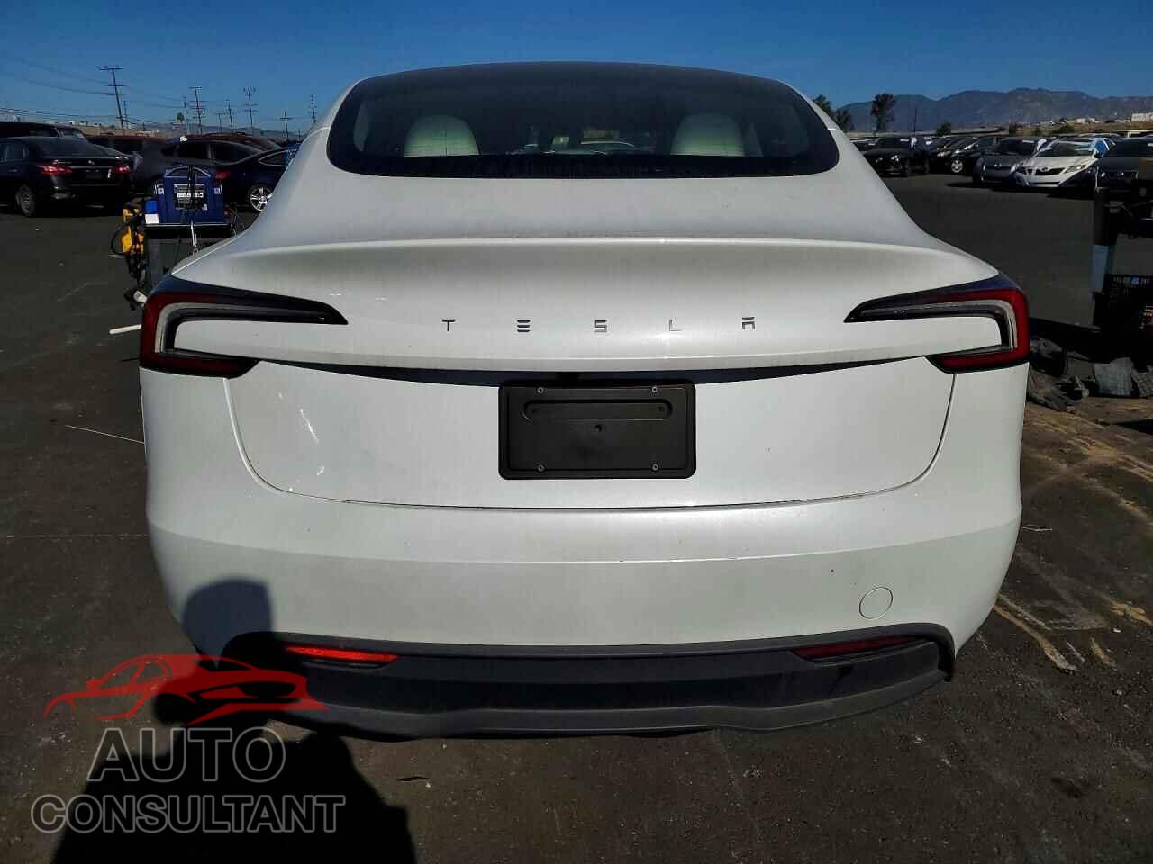 TESLA MODEL 3 2024 - 5YJ3E1EA4RF827228