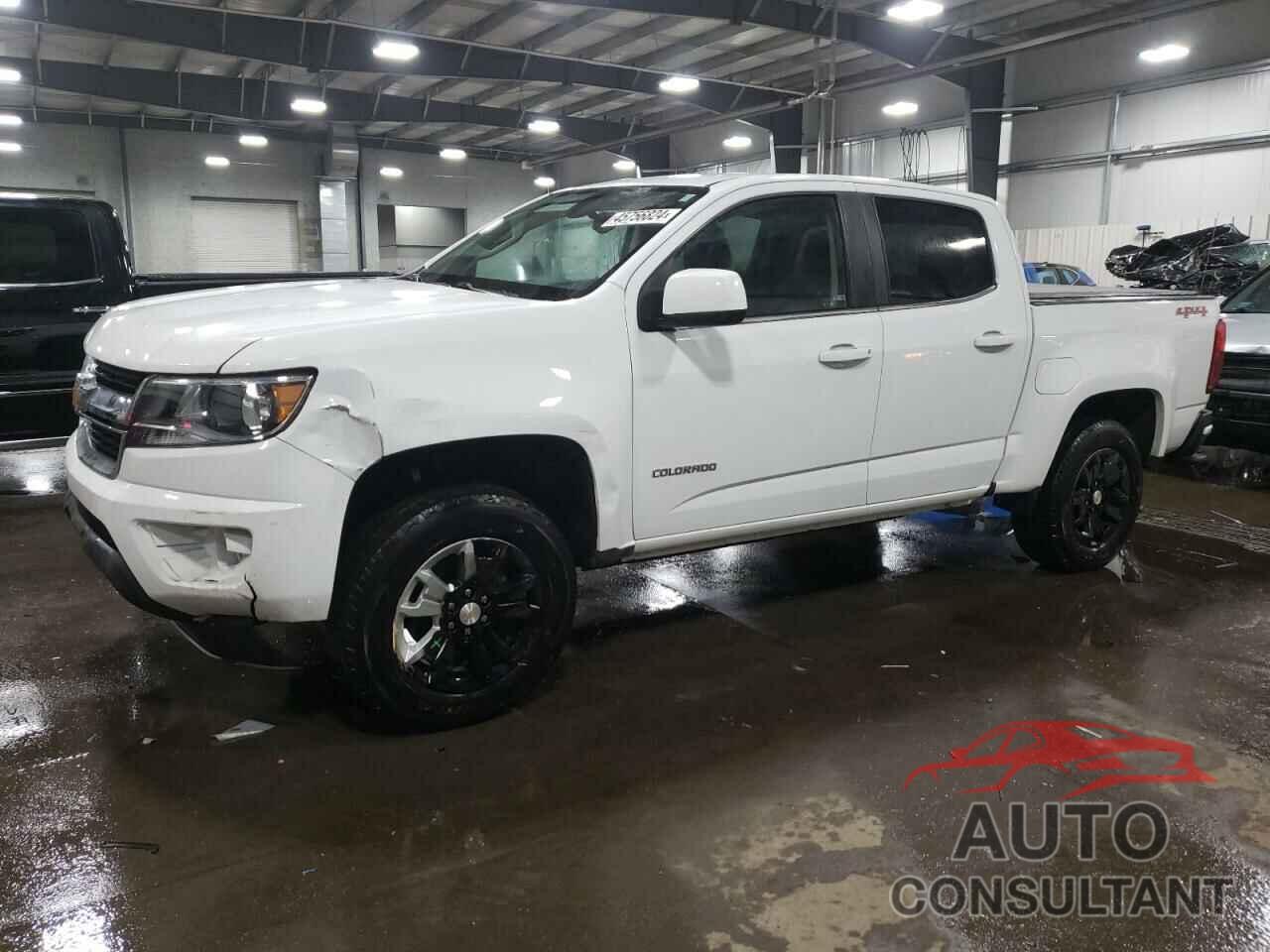 CHEVROLET COLORADO 2019 - 1GCGTCEN5K1104671