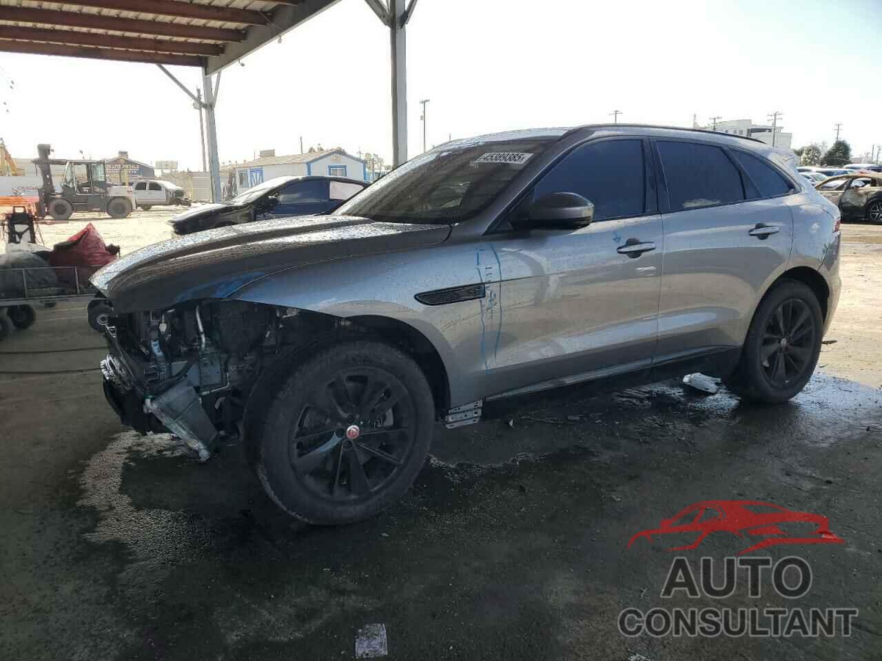 JAGUAR F-PACE 2021 - SADCJ2EU5MA664381
