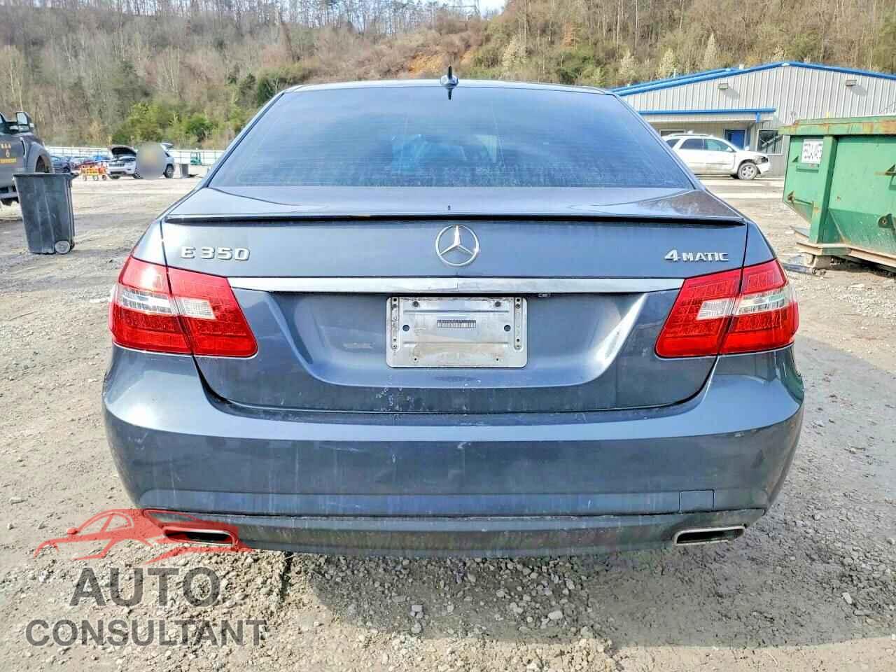 MERCEDES-BENZ E-CLASS 2010 - WDDHF8HB7AA215771
