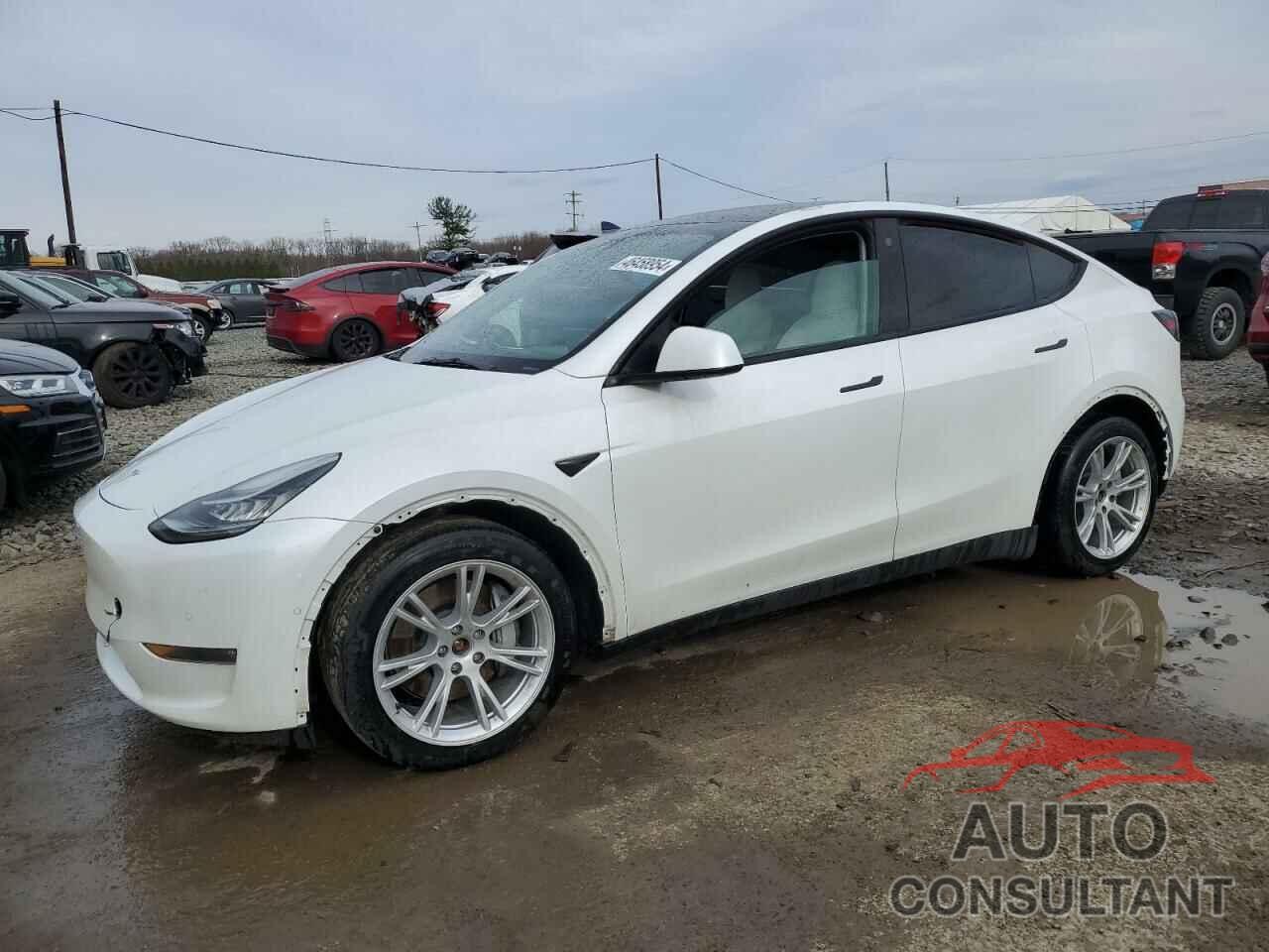 TESLA MODEL Y 2022 - 7SAYGAEE6NF401735