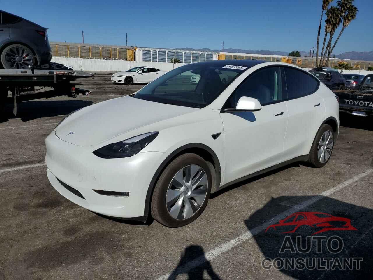TESLA MODEL Y 2024 - 7SAYGDEE7RF076424