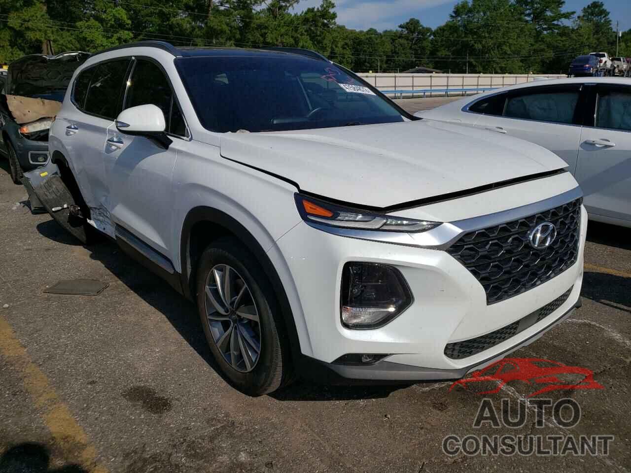 HYUNDAI SANTA FE 2019 - 5NMS53AD5KH111563