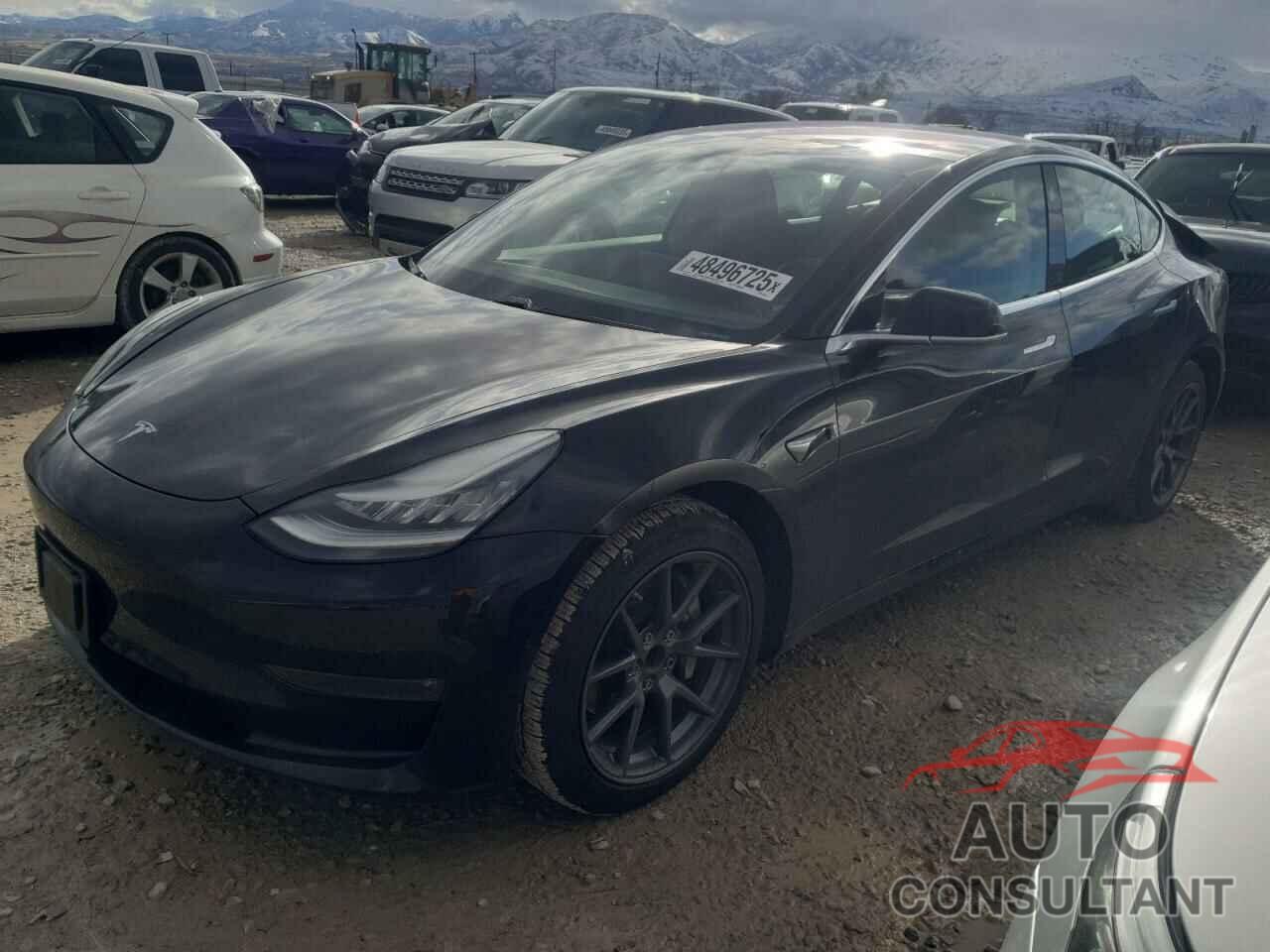 TESLA MODEL 3 2019 - 5YJ3E1EA3KF304384