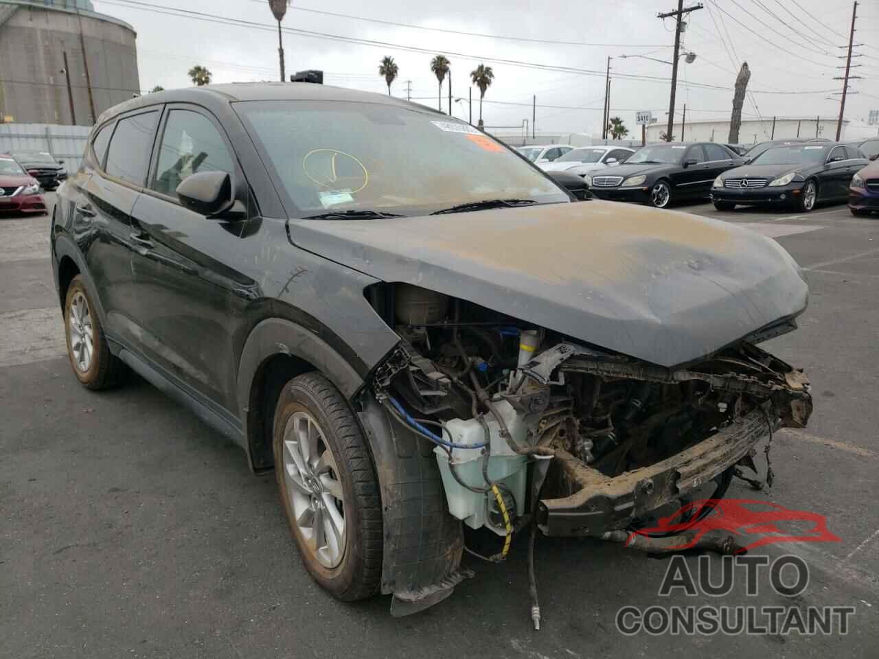 HYUNDAI TUCSON 2016 - KM8J23A45GU165302
