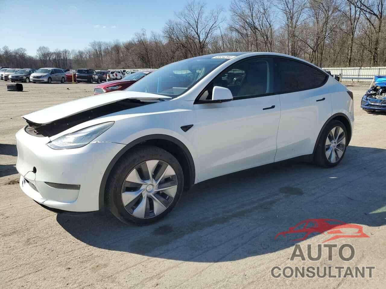 TESLA MODEL Y 2021 - 5YJYGDEE3MF096983