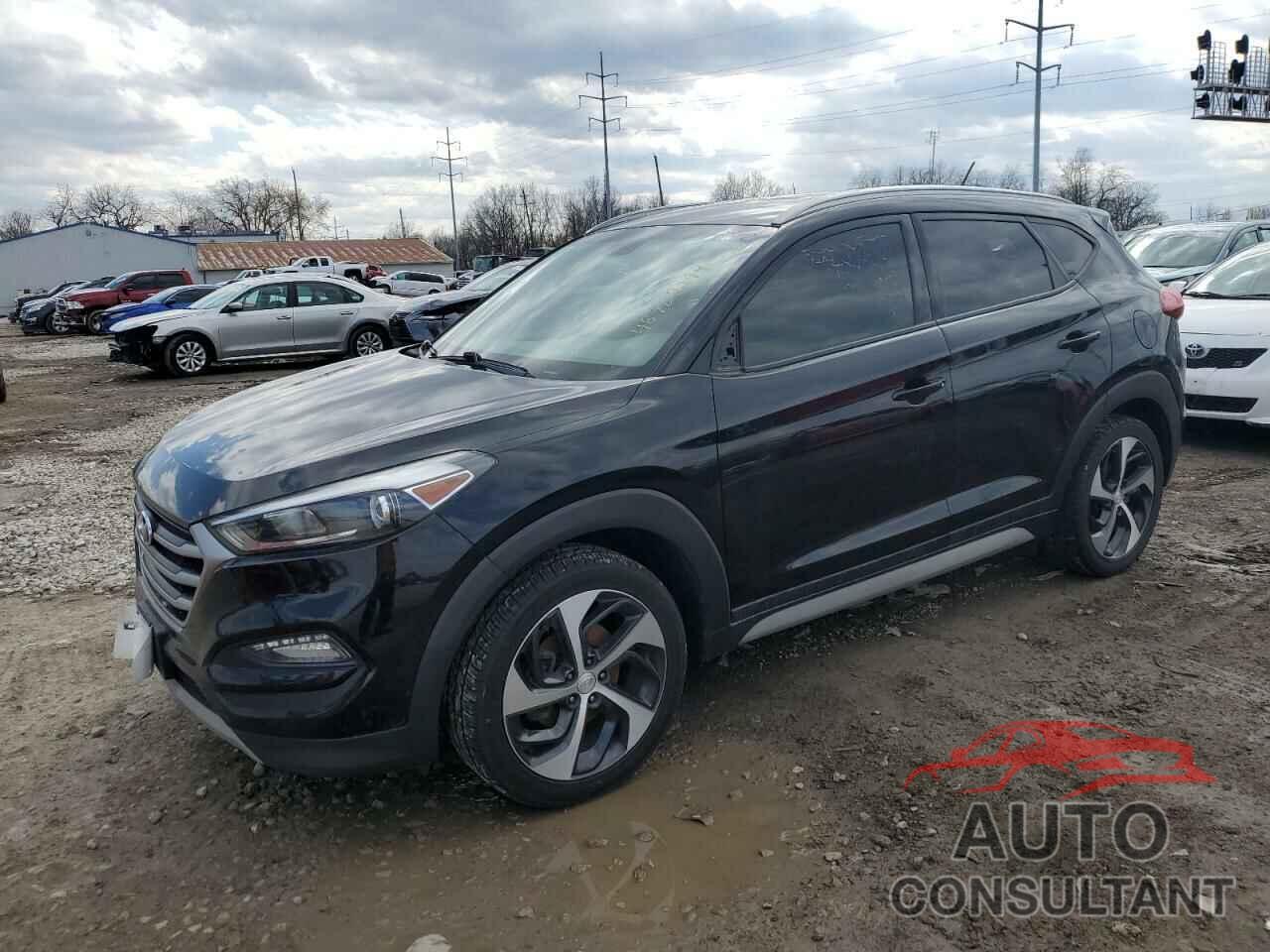 HYUNDAI TUCSON 2017 - KM8J3CA23HU546403