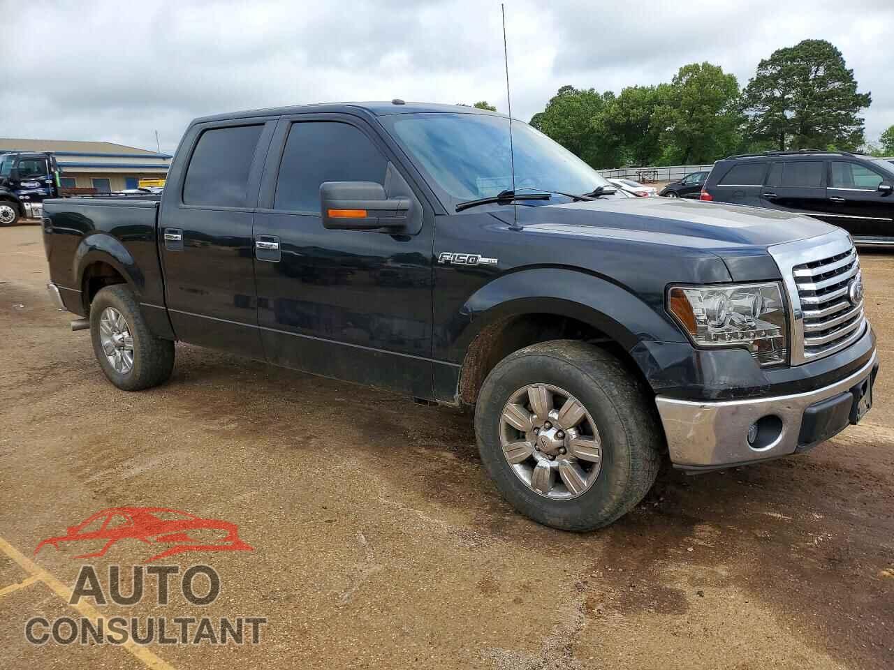 FORD F150 2011 - 1FTFW1CF0BFA51156