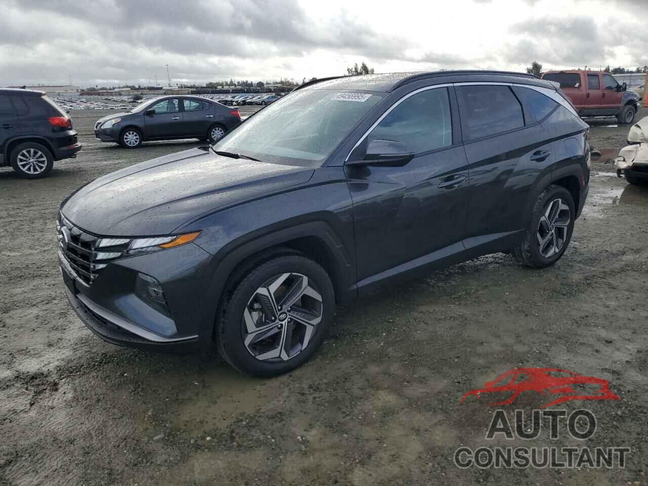 HYUNDAI TUCSON 2023 - 5NMJFCAE2PH220698