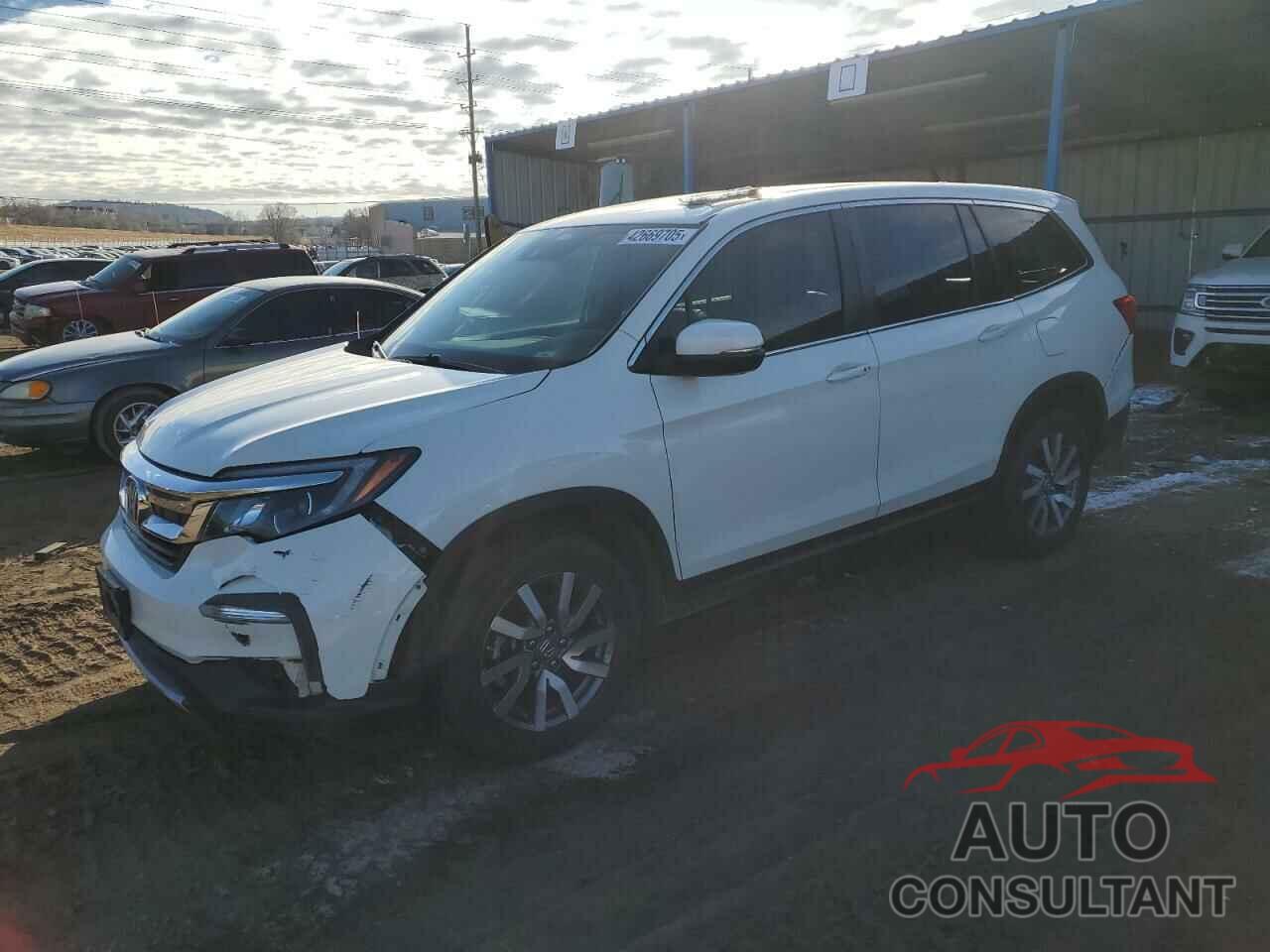 HONDA PILOT 2019 - 5FNYF6H5XKB054222