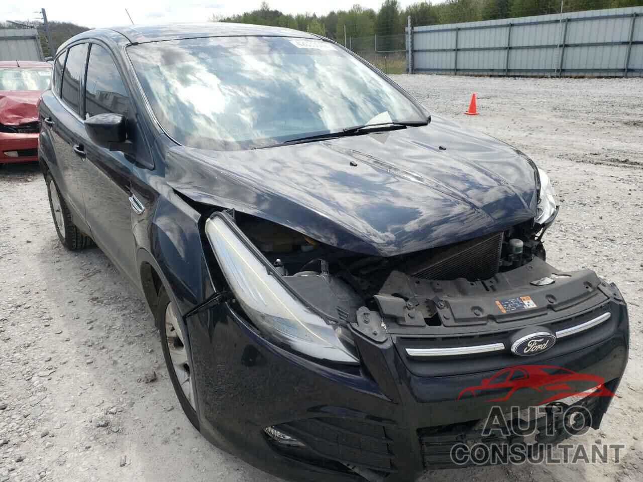 FORD ESCAPE 2016 - 1FMCU9G93GUA31753
