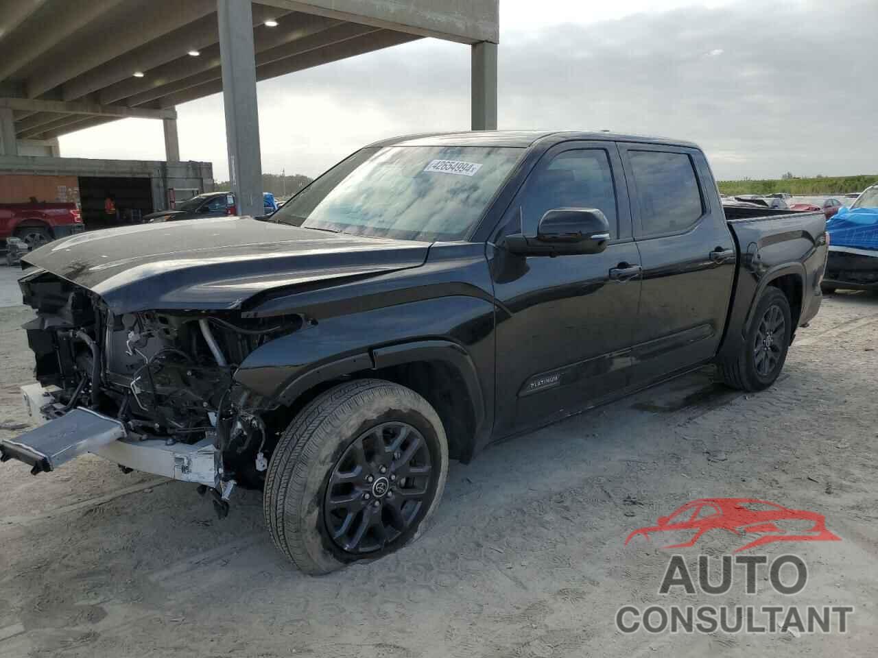 TOYOTA TUNDRA 2023 - 5TFNA5AB7PX021428