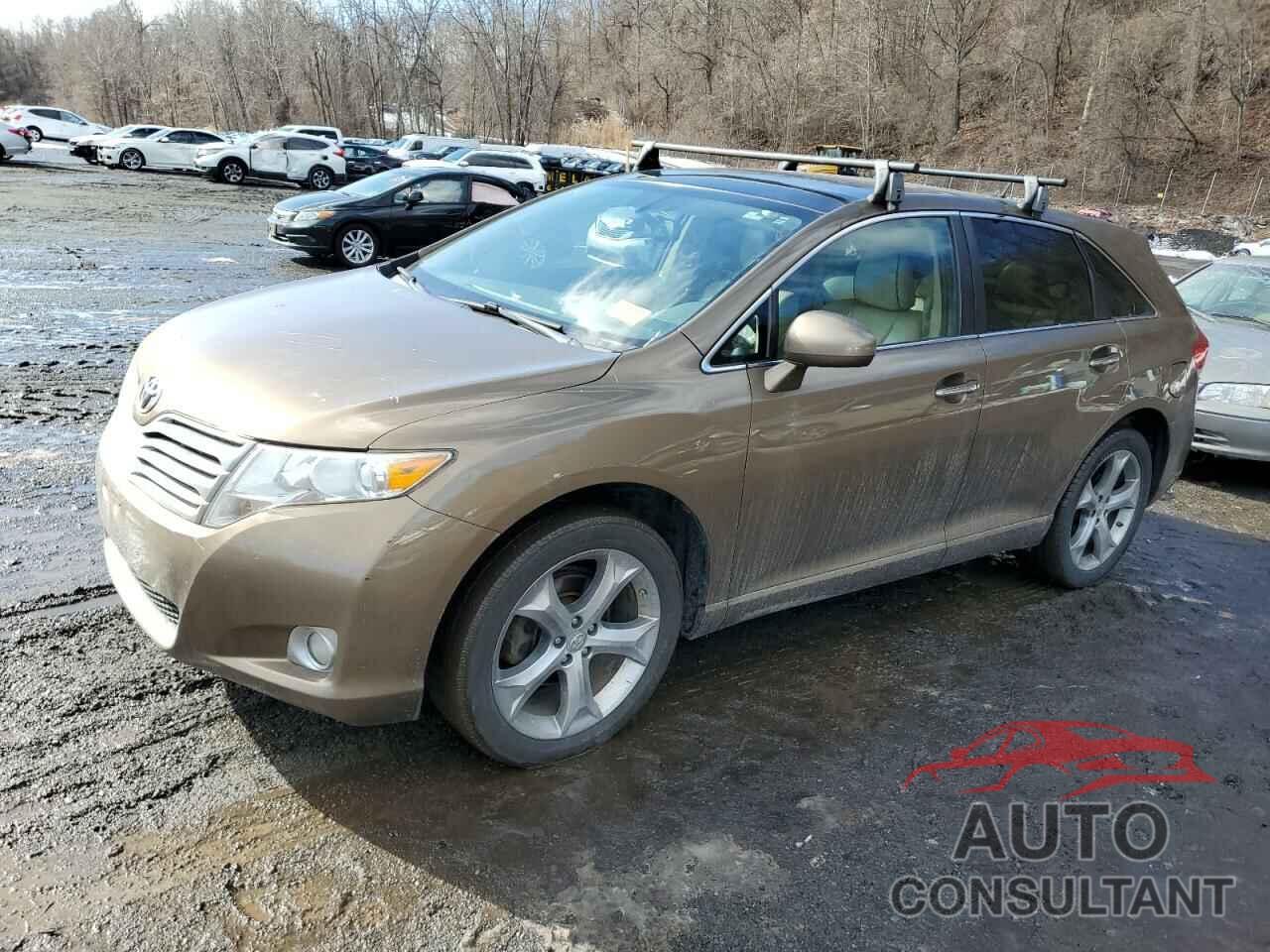 TOYOTA VENZA 2010 - 4T3ZK3BB1AU030090